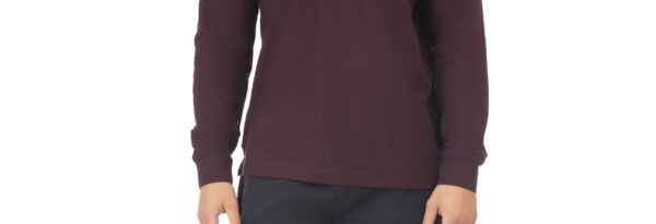 Ανδρική Μπλούζα Polo Μακρυμάνικη plus size- Double - Image 3